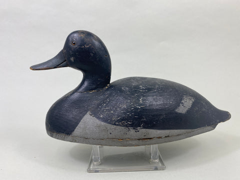Quillen Style Lake St. Clair Bluebill Drake, Circa 1900's (#8944)