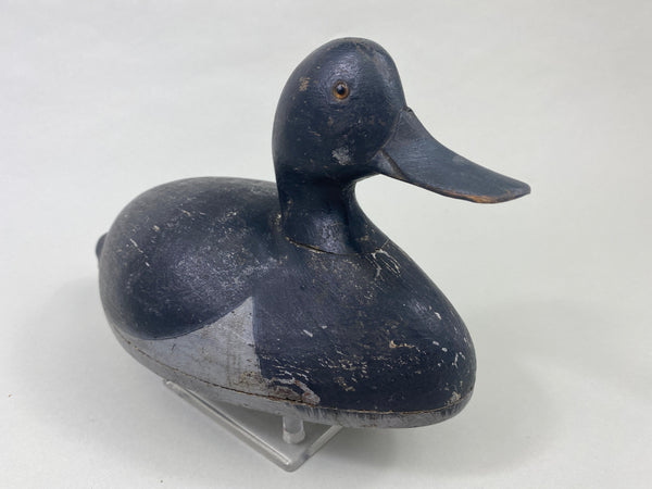 Quillen Style Lake St. Clair Bluebill Drake, Circa 1900's (#8944)