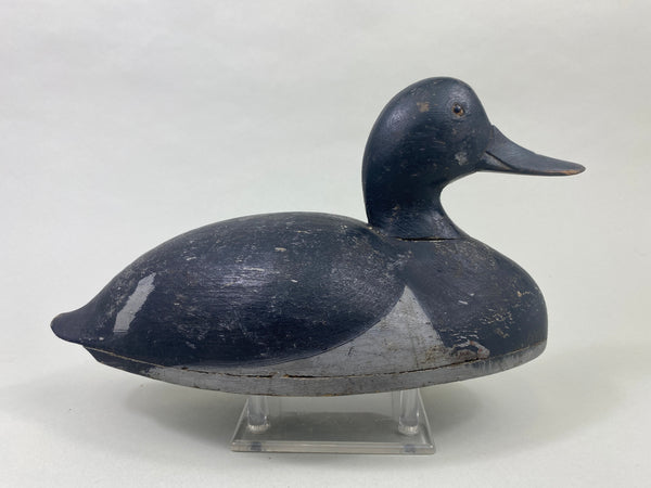Quillen Style Lake St. Clair Bluebill Drake, Circa 1900's (#8944)