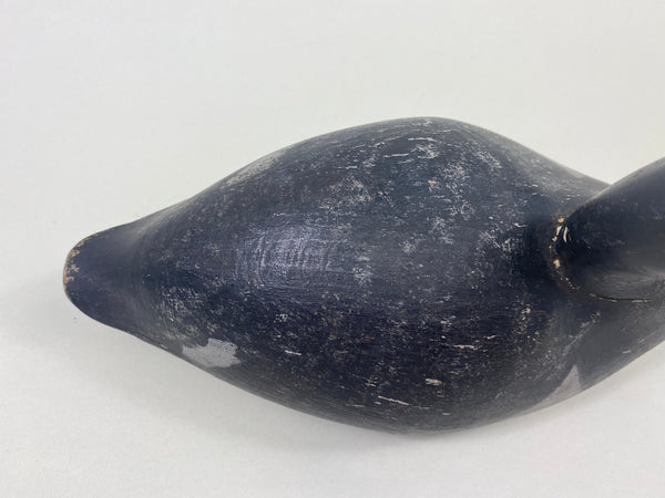 Quillen Style Lake St. Clair Bluebill Drake, Circa 1900's (#8944)