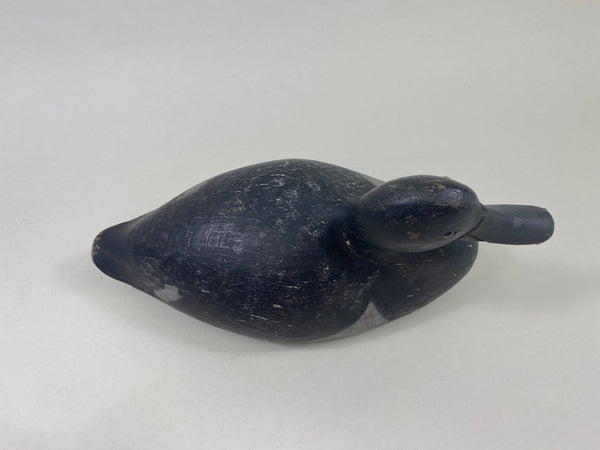 Quillen Style Lake St. Clair Bluebill Drake, Circa 1900's (#8944)