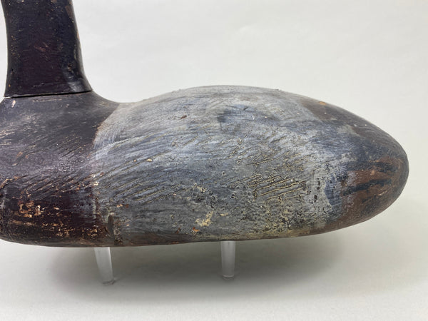 Unknown High-Headed Canvasback Drake, Cayuga Lake, NY, Circa 1920's (#8947)