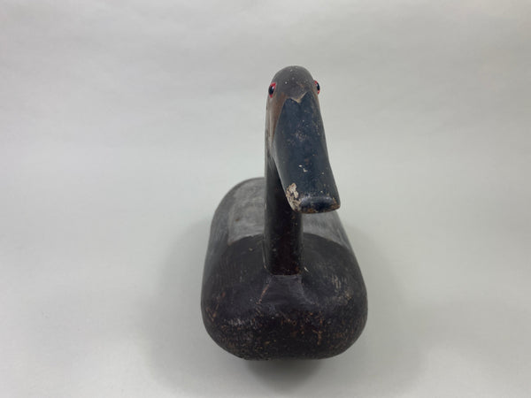 Unknown High-Headed Canvasback Drake, Cayuga Lake, NY, Circa 1920's (#8947)