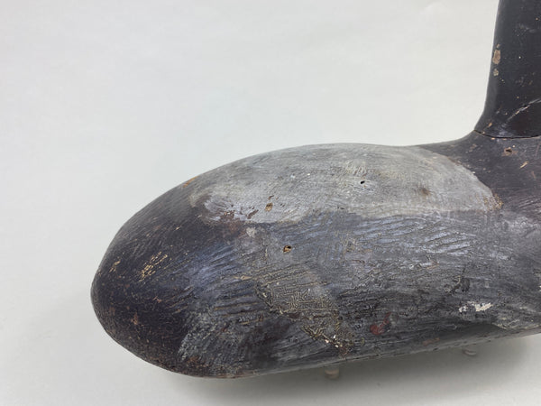 Unknown High-Headed Canvasback Drake, Cayuga Lake, NY, Circa 1920's (#8947)