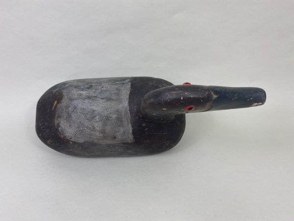 Unknown High-Headed Canvasback Drake, Cayuga Lake, NY, Circa 1920's (#8947)