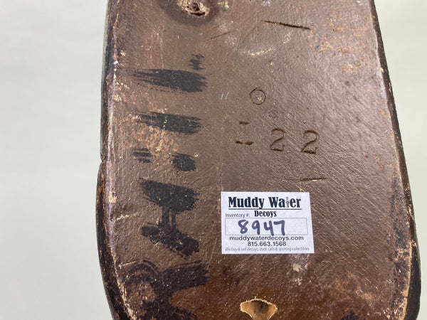 Unknown High-Headed Canvasback Drake, Cayuga Lake, NY, Circa 1920's (#8947)