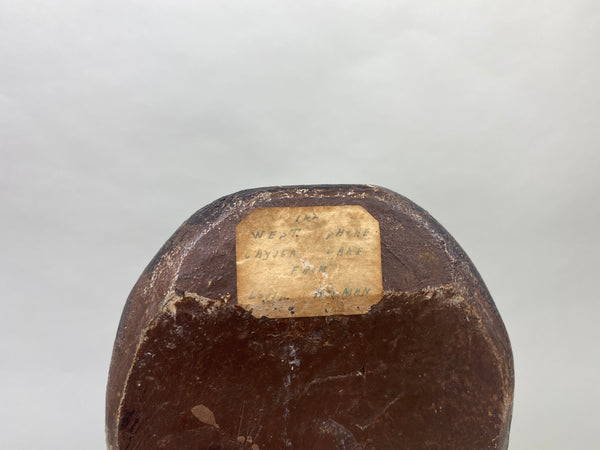 Unknown High-Headed Canvasback Drake, Cayuga Lake, NY, Circa 1920's (#8947)