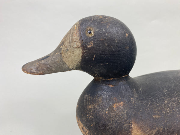 Mason Bluebill Hen (#8951)