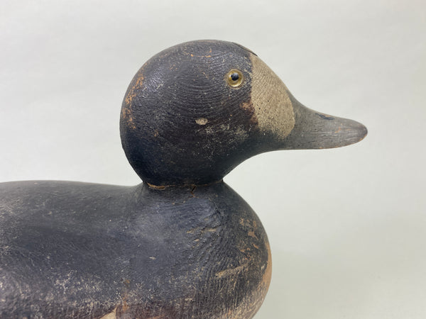 Mason Bluebill Hen (#8951)