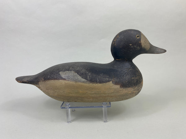 Mason Bluebill Hen (#8951)