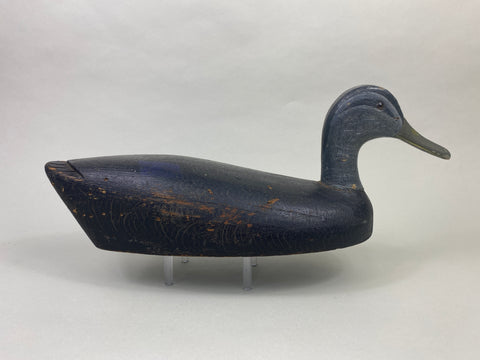Canada Black Duck (#8955)