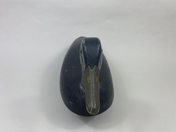 Canada Black Duck (#8955)