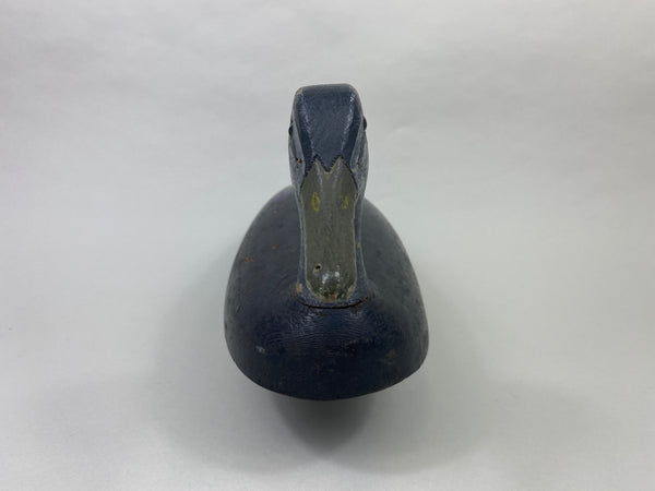 Canada Black Duck (#8955)