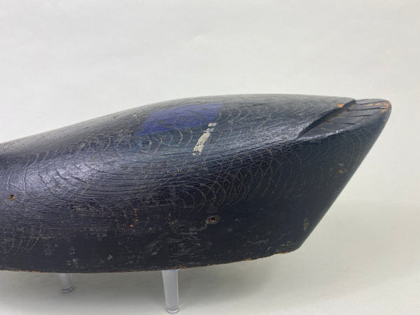 Canada Black Duck (#8955)