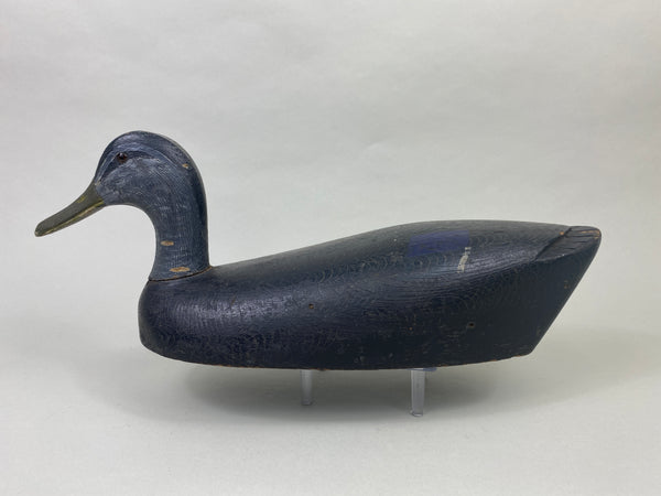 Canada Black Duck (#8955)
