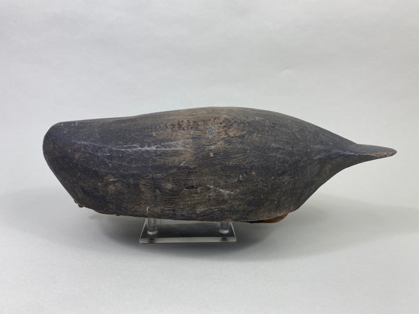 Unknown Feeder Black Duck, Circa 1930's (#8963)