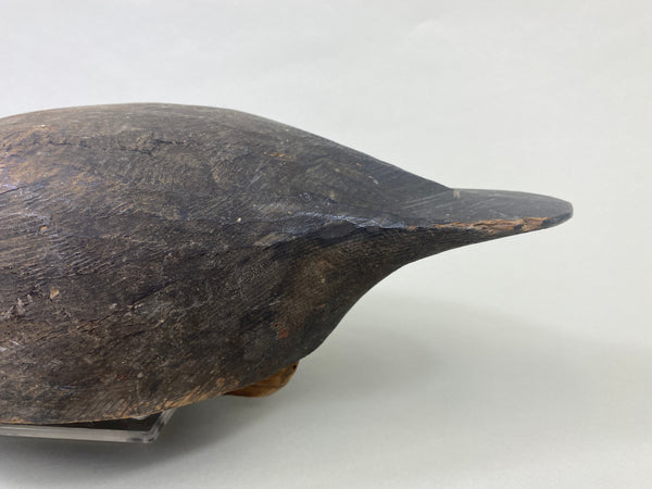 Unknown Feeder Black Duck, Circa 1930's (#8963)