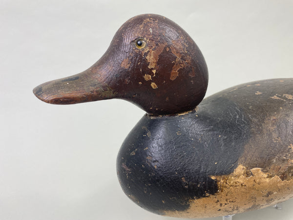 Mason Redhead Standard Grade (#8981)