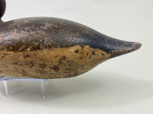 Mason Redhead Standard Grade (#8981)