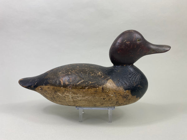 Mason Redhead Standard Grade (#8981)