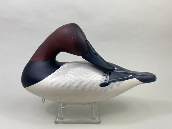 Vernon Bryant Canvasback Drake (#8983