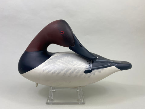 Vernon Bryant Canvasback Drake (#8983