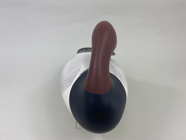 Vernon Bryant Canvasback Drake (#8983
