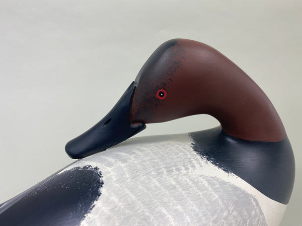 Vernon Bryant Canvasback Drake (#8983