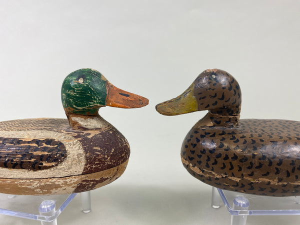 Pair of Miniature William Eveland Mallards (#8990)