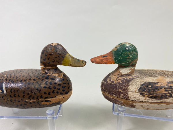 Pair of Miniature William Eveland Mallards (#8990)
