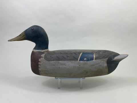 Roy Hancock Mallard Drake (#8991)