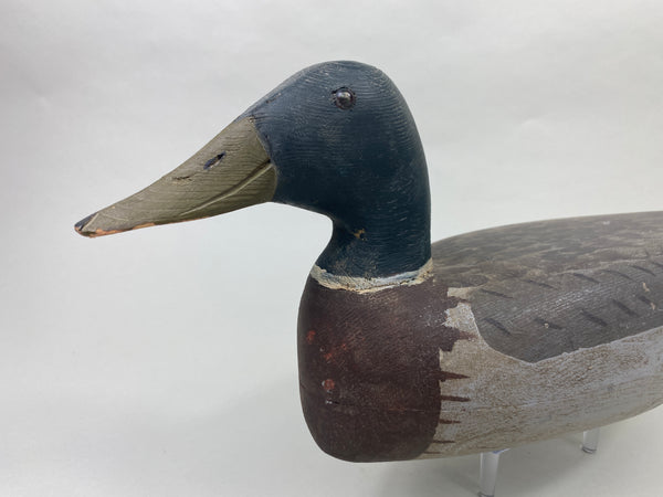 Roy Hancock Mallard Drake (#8991)