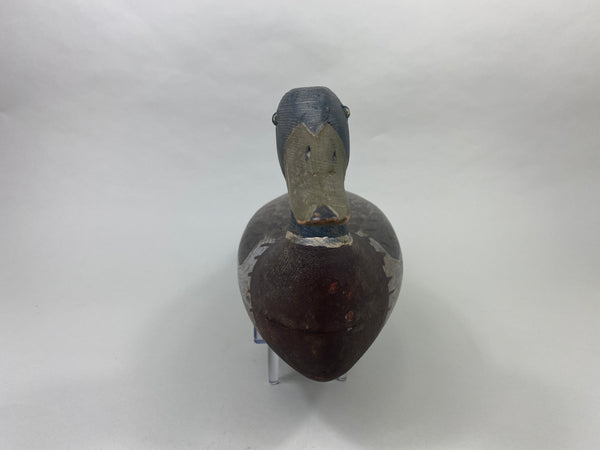 Roy Hancock Mallard Drake (#8991)