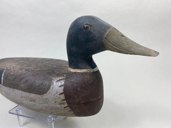 Roy Hancock Mallard Drake (#8991)