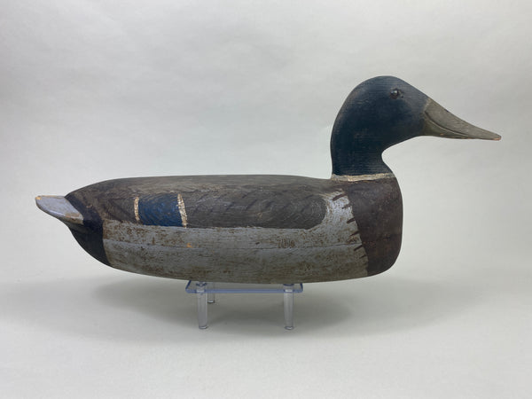 Roy Hancock Mallard Drake (#8991)