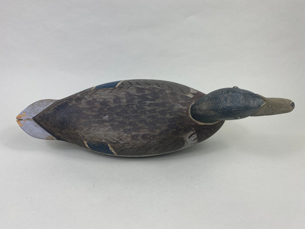 Roy Hancock Mallard Drake (#8991)