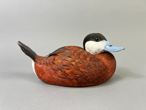 Mike & Nancy Scherer Turned Head Ruddy Duck (#8449)