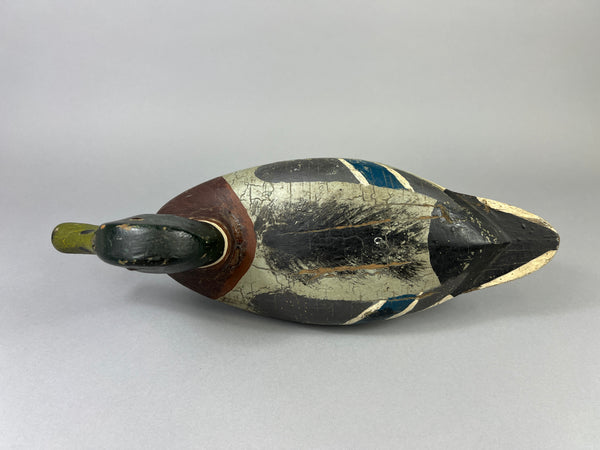 Leonard Doren Mallard Drake (#3644)