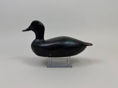 Michigan Area Blue-Wing Teal, Circa 1930's (#4410)
