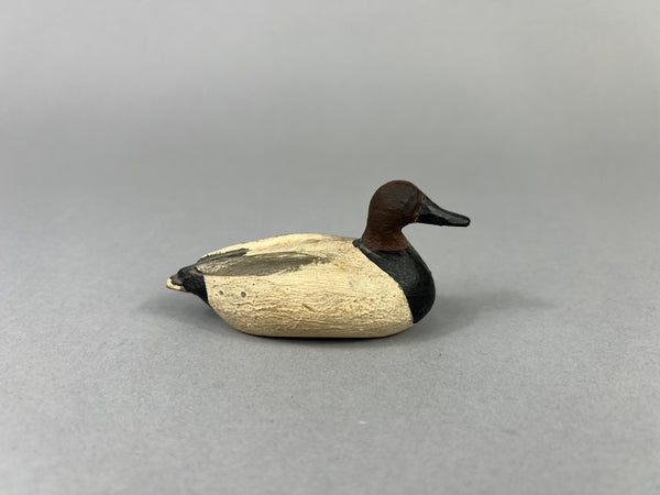 Mini Canvasback, Unknown  (#E52)