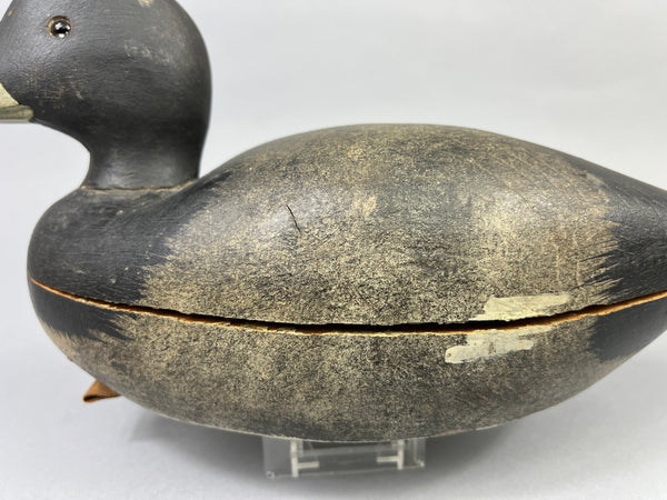 Keyes Chadwick Pair of Bluebills, Original Paint (#4847)