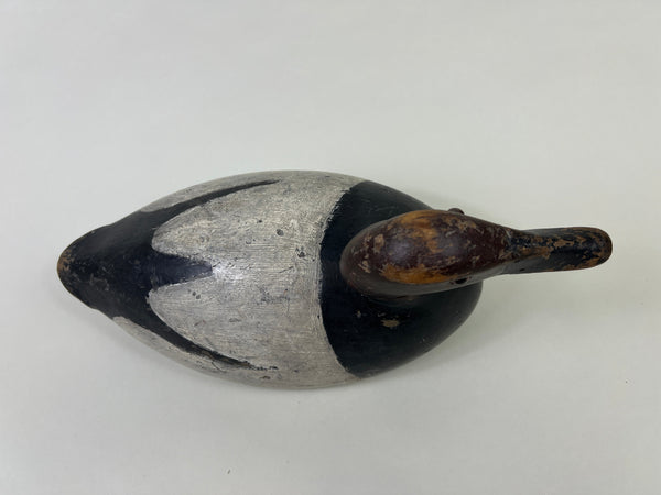 John R. Wells Canvasback Drake, Circa 1920's (#4703)