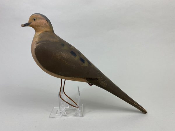 Unknown Hunting Dove Decoy (#9006)