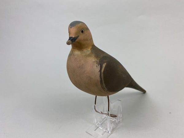 Unknown Hunting Dove Decoy (#9006)