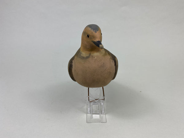 Unknown Hunting Dove Decoy (#9006)
