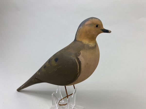 Unknown Hunting Dove Decoy (#9006)
