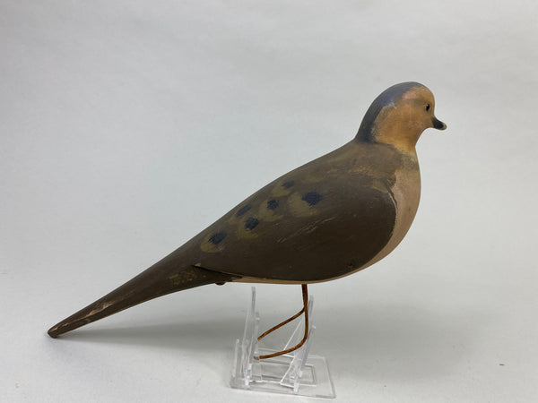 Unknown Hunting Dove Decoy (#9006)