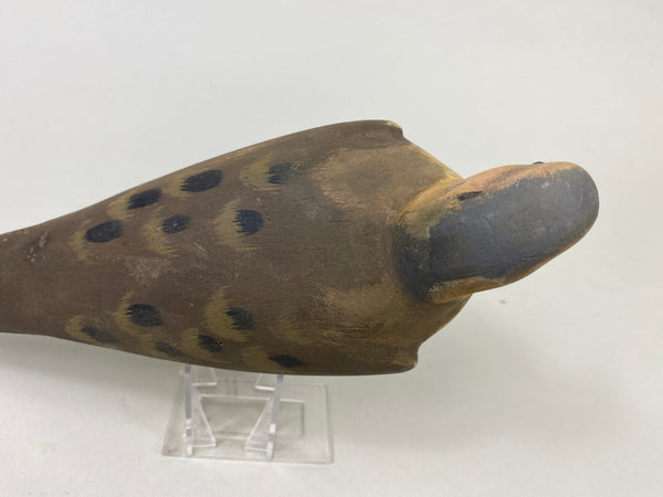 Unknown Hunting Dove Decoy (#9006)