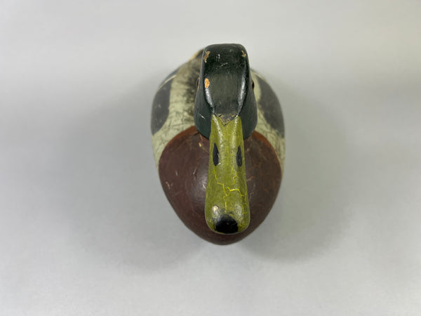 Leonard Doren Mallard Drake (#3644)