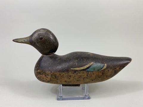 Mason Blue-Wing Teal Drake (#9046)